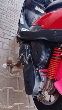 ماكس • مكفولة • كوت