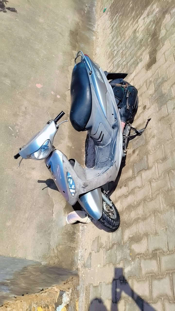 السلام عليكم
ماكس منغولي للبيع على الشرط 
للاستفسار خاص او الاتصال على ***********
