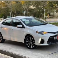 شركاط • مسافر اربيل • غداً