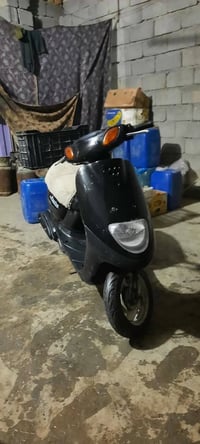 دراجه منغولي فحل للبيع مكينه جديده دراجه خير من الله سعرها ٤٠٠ وبيها م...