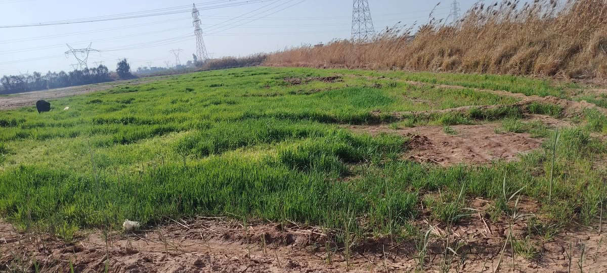 سلام عليكم كاع للبيع 8دونم مع بيتين ماء رساله ماء ونهر سكي شتاء صيفي  ماطورين كاز وقرطاس لكاع سند 35/ ***********
