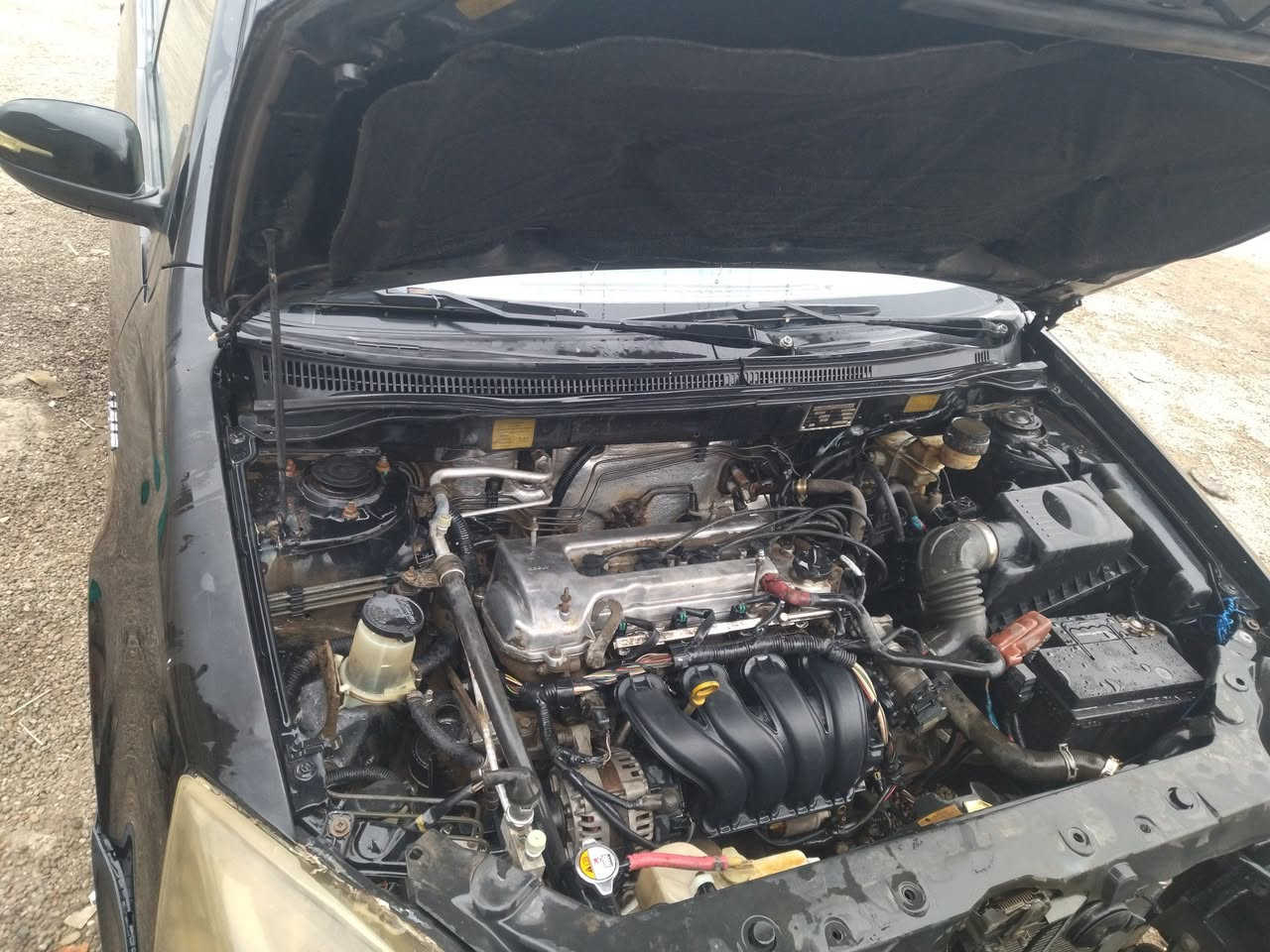 السلام عليكم ورحمه الله وبركاته 
سيارة جيلي مابل  محرك وكير شركة ما مبدل كير عادي تخم تاير جديد السياره بيها خياسات بسيطه كلش 
رقم بغداد 
عنواني بغداد الكرخ 
السعر 40 مع المجال للطيبين 
للاستفسار الاتصال ***********
