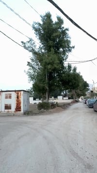 بابل جمعيه • ٢٠٠م • طابو صرف