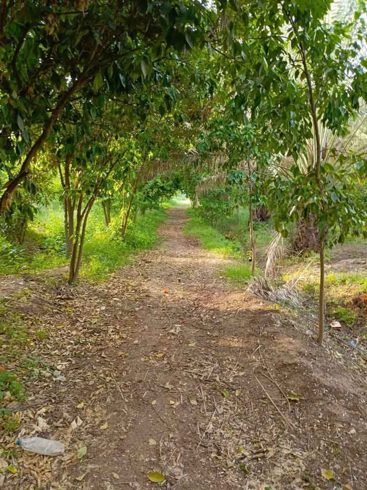 #عقارات_التاجي_ذراع_دجلة🌎منطقة الشيخ عامر مدير الأمن
وتابع شروط ضمان حقك 🔵🟢

🔴 يتوفر لدينا أرض زراعية 🌳
🔴 بمساحة ( 4 دونم سند مستقل 
🔴جنس العقار - طابو صرف - تحويل سند  بأسمك

⚠️ #سعر  للدونم23وبي مجال 

 متوفر جميع الخدمات الأساسية ✅
▪️ ماء اسالة ▪️ ماء سقي الأرض على نهر من ذراع دجلة
▪️ كهرباء مدار 24 ساعه ▪️ الأرض على تبليط مباشر
▪️سوق مكتمل مطاعم وغيرها ▪️ مدارس ▪️جوامع ▪️
مجمعات طبية 🏥 ملاعب ⚽▪️كثافة سكن منطقة ٪50
تصلح للسكن وتصلح للزراعة مثل مزارع بلد 🌳🌲
أو دور استراحة 🏡🏠  

🔰شروط ضمان حقك ⬇️
متدفع فلس الة بعد
▪️ تثبيت حدود الأرض
▪️اسلمك مرتسم بل أرض مالتك
▪️أتعهد الك بكافة انواع الإجراءات القانونية
▪️افتحلك بيان في التسجيل العقاري 
 ثاني يوم افتحلك بيان 👍
صار حقك مضمون 

للاستفسار اتصال *********** واتساب
