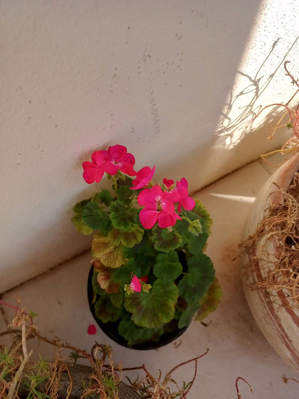 سموود


**إذا كنت صاحب هذا الإعلان وتريد حذفه لأي سبب، رجاءا أرسل رسالة إلى الدعم الفني**