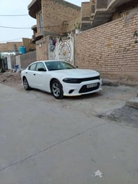 جارجر كندي • ٢٠١٥ • مرقمة اربيل