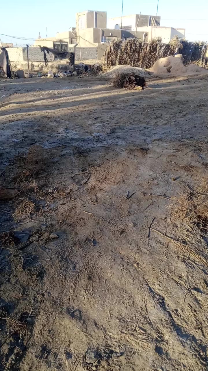 تفاصيل ***********
