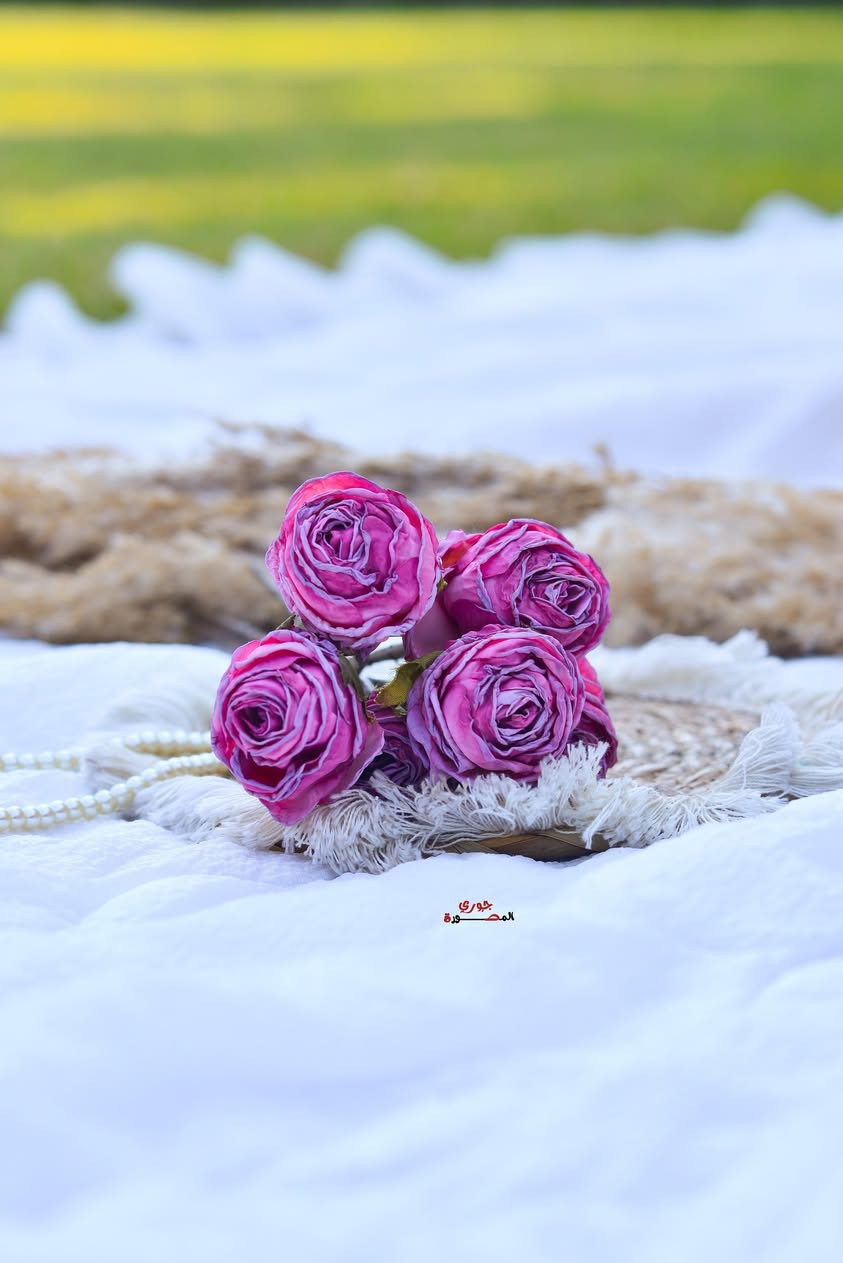 #فريق #الابداع مستعدون لجميع المناسبات كادر نسائي وكادر رجالي

#الجميع للحجز والاستفسار التواصل ع الخاص او واتساب📸 المصوره جوري ***********
#جلسات #خارجيه. #عقدقران… #اعراس… #تخرج .....#عيدميلاد  @متابعين  وكافة مناسباتكم
تتوفر طباعه صور ..كافة القياسات وتوصيل جميع مناطق النجف ❤️‍🔥❤️‍🔥
مصورة جوري 
للحجز والاستفسار مراسلة الصفحه
#مصوره جوري##الكوفه #مصوره #النجف #العراق #الجميع
#اكسبلور_فولو #اعراس #ترند #حلقات #حنه #حب #انستا  #مصوره
 #تصوير
‎
#مصورات_النجف #النجف #قاعه  #اكسبلور #ترندهاشتاكات #اكسبلور
