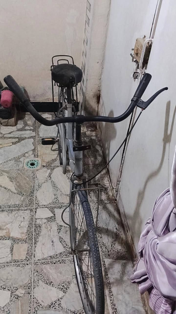 يا الله باسكل حجم 26 لون رصاصي مابي اي بس عوزه دواسه مال بيدان + ويا غراض هواي من كاسحه وفسفوريات وقفل وبعد هواي السعر 65 وبي مجال قليل جدا مكاني النجف قرب كراج الجنوبي وهذا رقمي مال وتساب ولي يرد يتواصل وياي خاص عادي ***********
