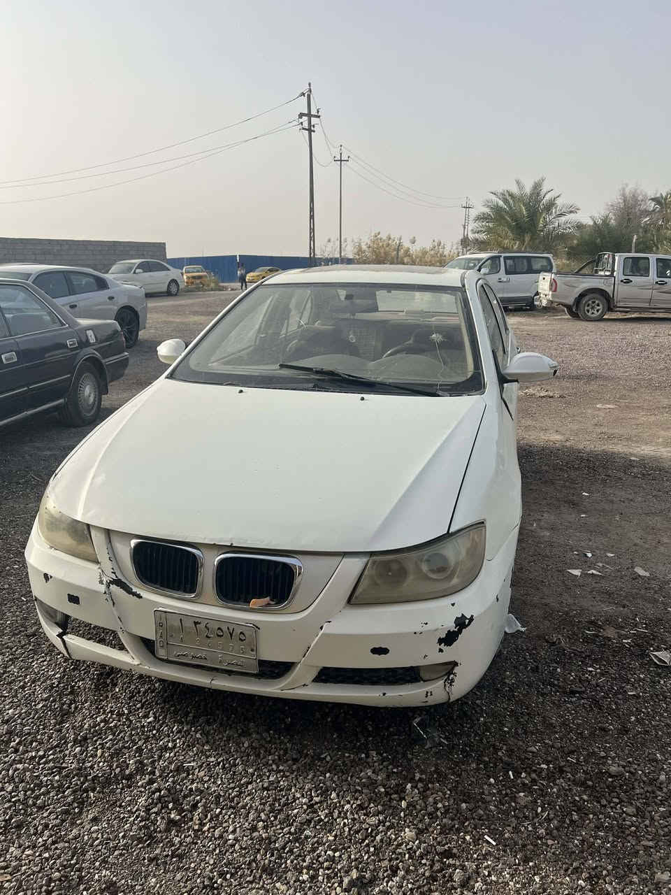 تفاصيل رقم راعيها ***********
