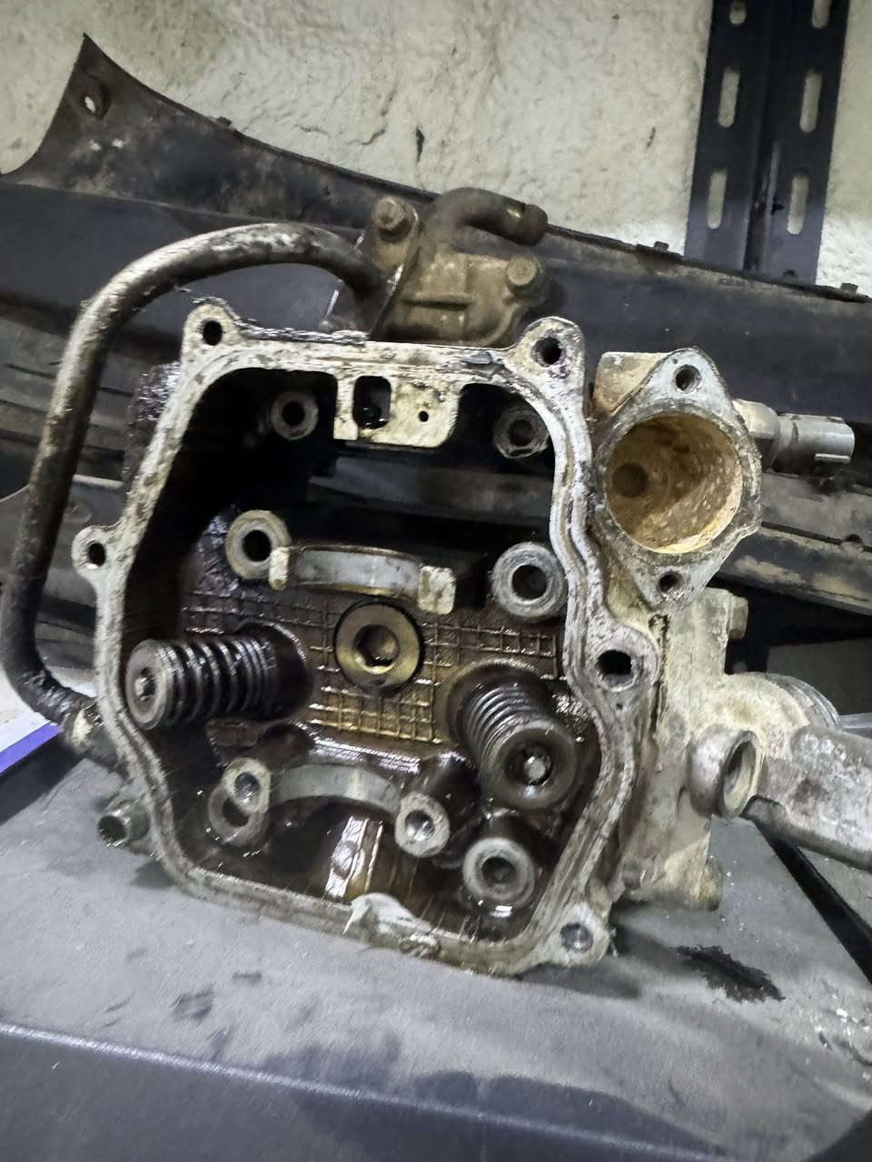 تفصيخ ورزه  صفر ٨ وصفر ٩. شتريد موجود. ***********
