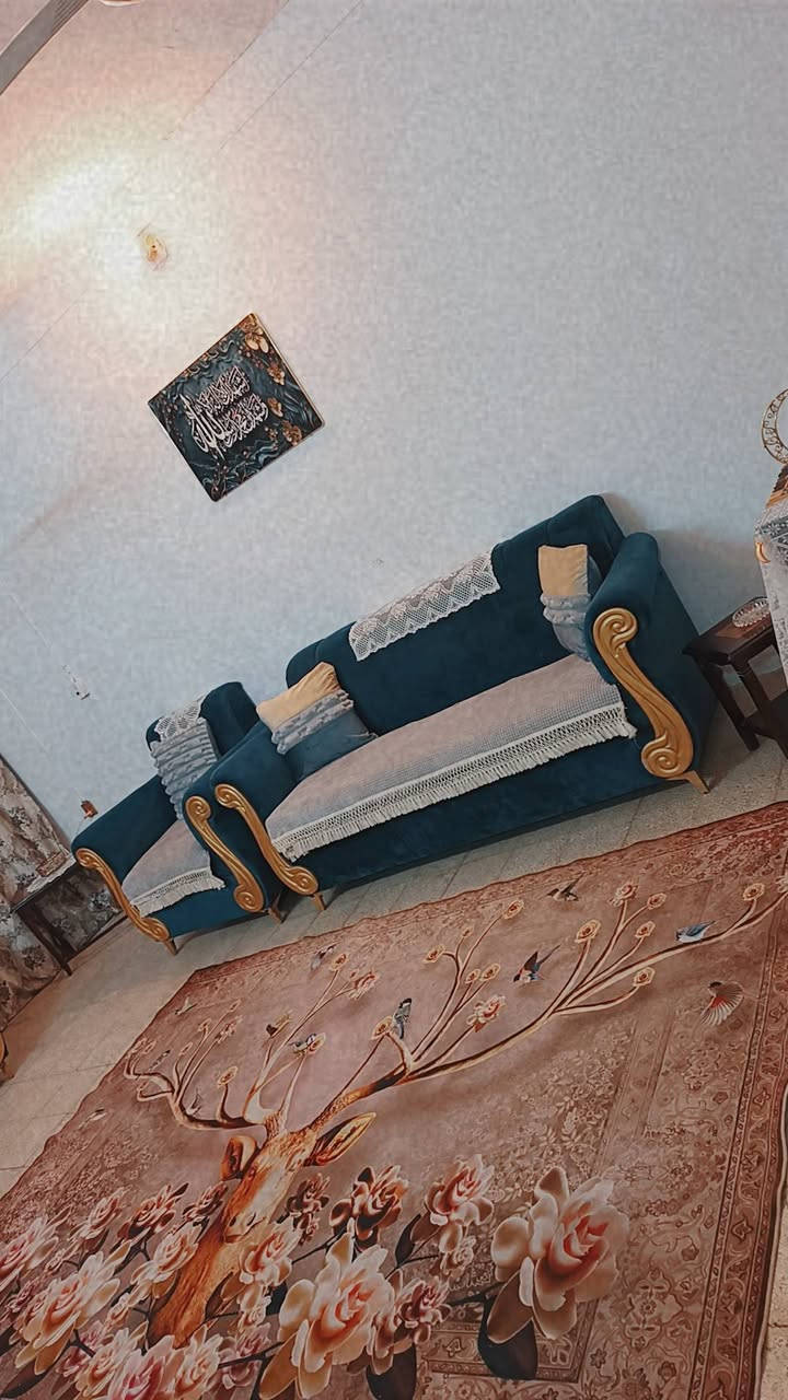 تخم للبيع جديد مستعجلين على بيعته مكان ابو غريب


**إذا كنت صاحب هذا الإعلان وتريد حذفه لأي سبب، رجاءا أرسل رسالة إلى الدعم الفني**