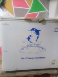 مجمدة • شغالة • ما بيها مجال