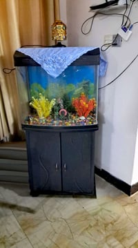 حوض سمك • مع ميز • تكريت الشراي