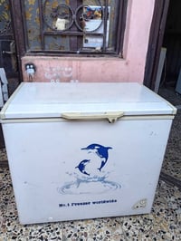 مجمدة بلادية • ١٢قدم • نظيفه