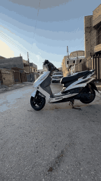 سلام عليكم دراجه سكنس فحل للبيع دراجه مال رمبه لمكينه بلاديه سبانه ماممدوده عليه بعده بملاحهه كفرات كله مختمات بس يرادله شويه ترتيب كهربائيات كامله اضويه اشاير  دبل اشاره كله شغال  كلجات جدد معدله حلو شلعته حلوه صلنصته لبلاديه موجوده دراجه رايده ب٦٠٠وبيه مجال المكان بغداد المحموديه


**إذا كنت صاحب هذا الإعلان وتريد حذفه لأي سبب، رجاءا أرسل رسالة إلى الدعم الفني**