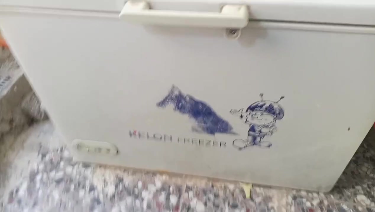 البيع


**إذا كنت صاحب هذا الإعلان وتريد حذفه لأي سبب، رجاءا أرسل رسالة إلى الدعم الفني**
