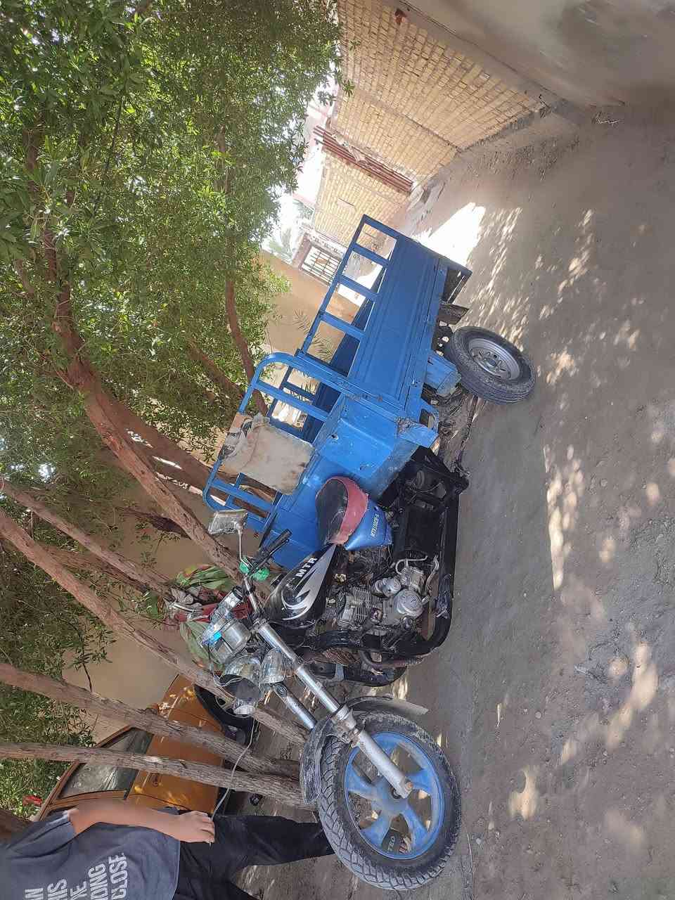 كلك للبيع هاذا ***********  السعر555
