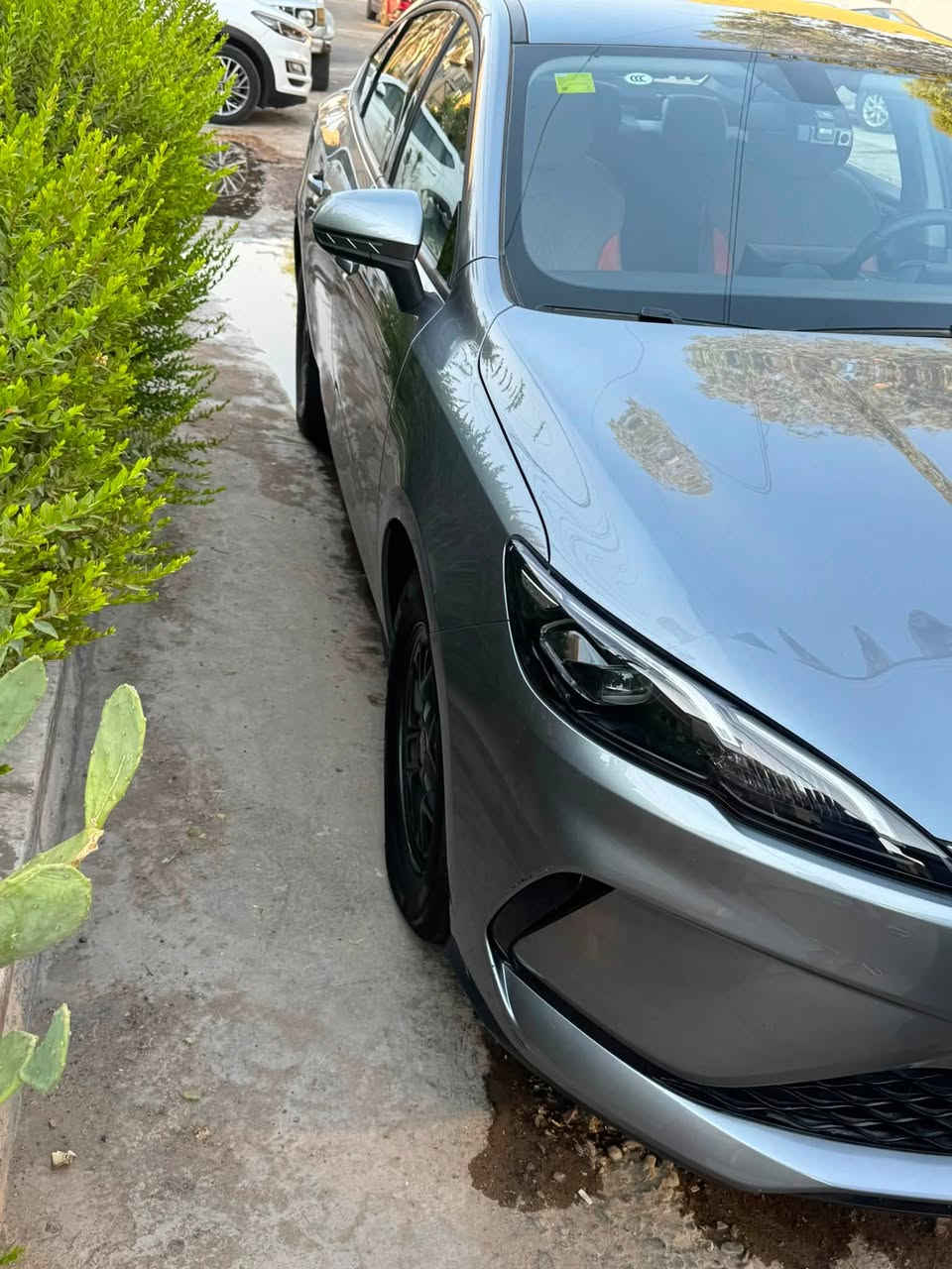 سلام عليكم سيل5  فايف ماشيه 3 لاف بعدها بدهن الشركه  كدامك مشيها وكلشي موضح ب صوره سياره بيه شخط ب دعاميه مصوره وناشره وي صور مامبين   شاد الهاه دوشمه  وشادلها داش كام اصليه ٣ كامرات ٢٤ ساعه تصور لوحته تطفه سياره  هاي تفاصيل سياره كدامك السعر19 او ٢٠٠ وبيها مجال حك جيتك فقط وماكو هيج سعر سياره بعدها زيرو مكاني شارع فلسطين***********
