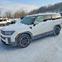 سانتا في هايبرد • ٢٠٢٥ • مزاد امريكي