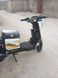 دراجة شحن • R11 ٢٠٢٦ • البصرة