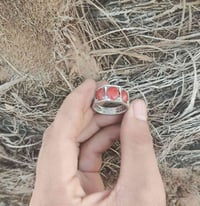 مرجان تونسي • قديم • الشطرة