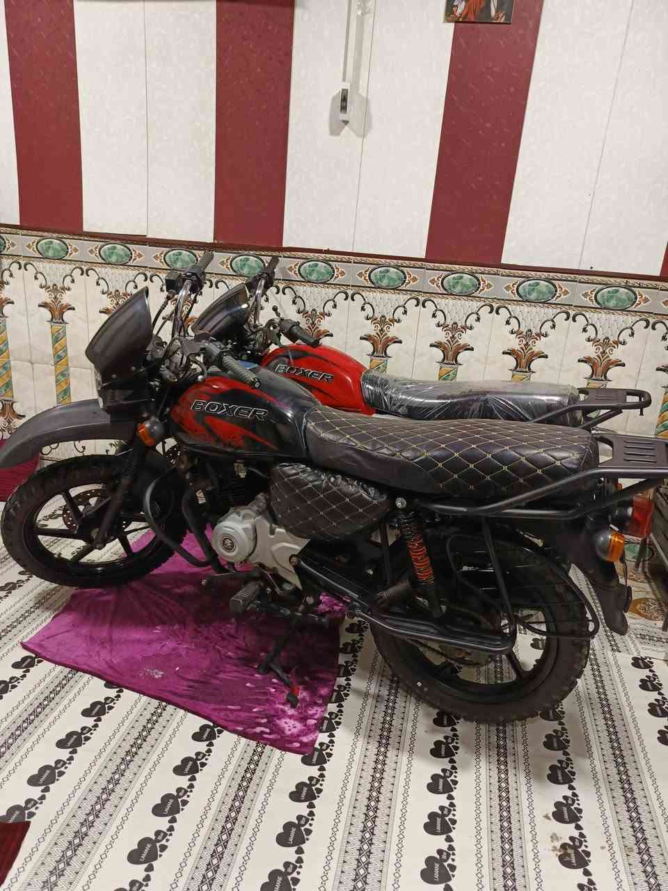 بوكسرات فحل المديل 23رقم نكليزي مفتوحات تجفيت الصلي بيدي اشتغل كاملات ماكو اي نقص سعر السوده مليونين والحمره مليون و800 وبيهن مجال مكاني شط العرب الفيحاء يم جسر خالد ***********
