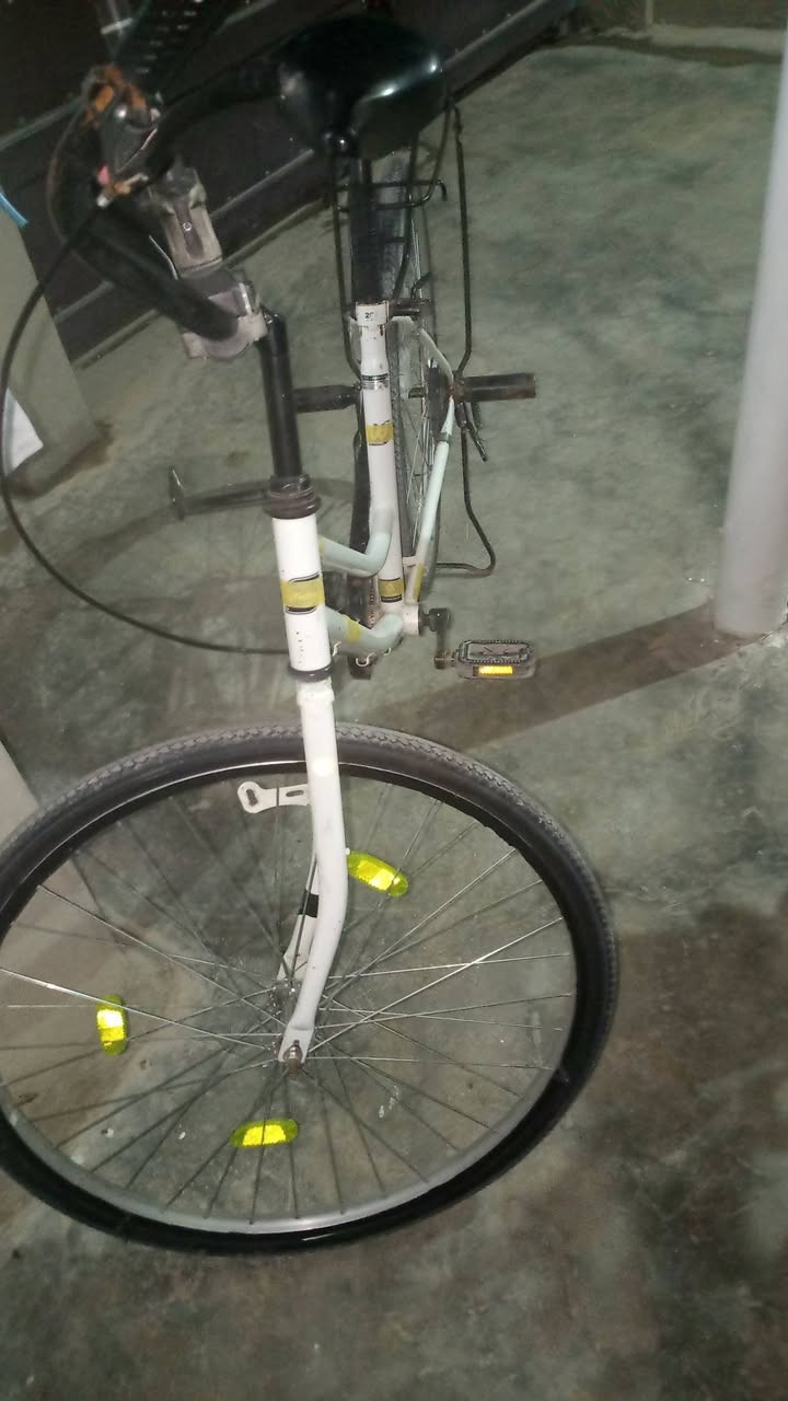 باسكل البيع والسعر 85وبي مجال الو مروس حسب القناعه مكان كركوك


**إذا كنت صاحب هذا الإعلان وتريد حذفه لأي سبب، رجاءا أرسل رسالة إلى الدعم الفني**