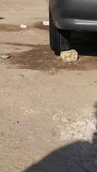 سايبة 2015 سيارة جاهزة ما نقصهة اي شي  دبلات حدادية و تخم تواير مهات ا...