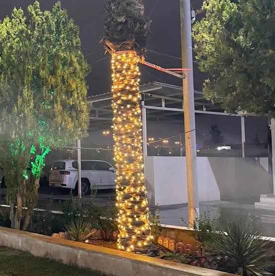 نشره ضوئيه بحجم 50 متر، رائعة لتزيين أجواء رمضان. 

سعرها 15 ألف. 

للحجز يمكنكم التواصل عبر واتساب على الرقم ***********.

#ديكور #نشرة_لد_لاصقه 🎊🌈 #رمضان_يجمعنا البصرة, العراق
