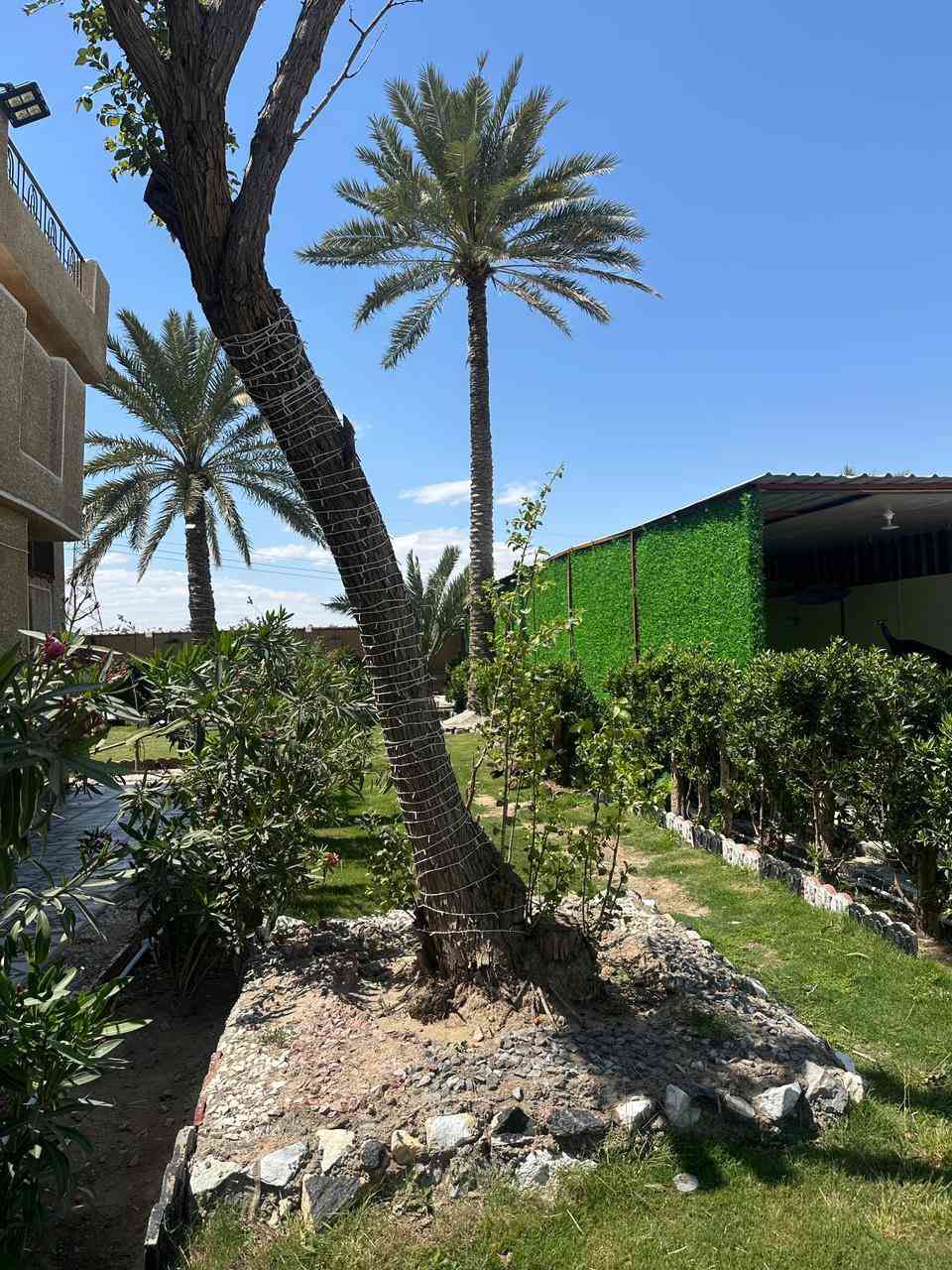 بغداد راشدية قرب قوس بوب الشام عوائل فقط تواصل  ‭0773 354 2665‬
