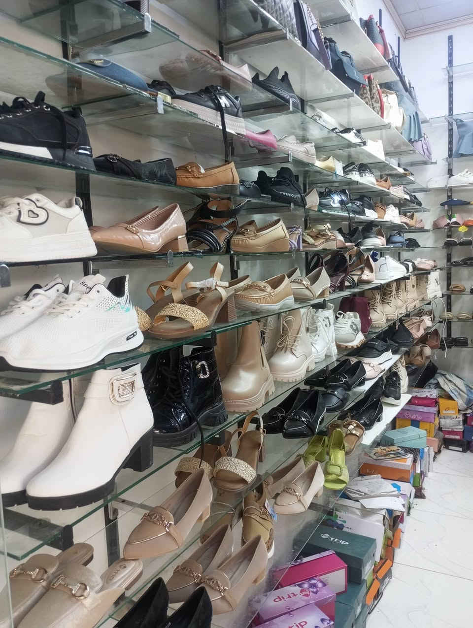 تخفيضاااات محل كلهة
5000 فقط


**إذا كنت صاحب هذا الإعلان وتريد حذفه لأي سبب، رجاءا أرسل رسالة إلى الدعم الفني**