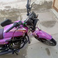 شاينك • ٢٠٢٥ • اوراق سكنر