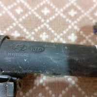 تخم نوزلات شجره كامله للبيع مال سيدونه 7 هيه ول راجع  السعر 100الف؛؛  ...