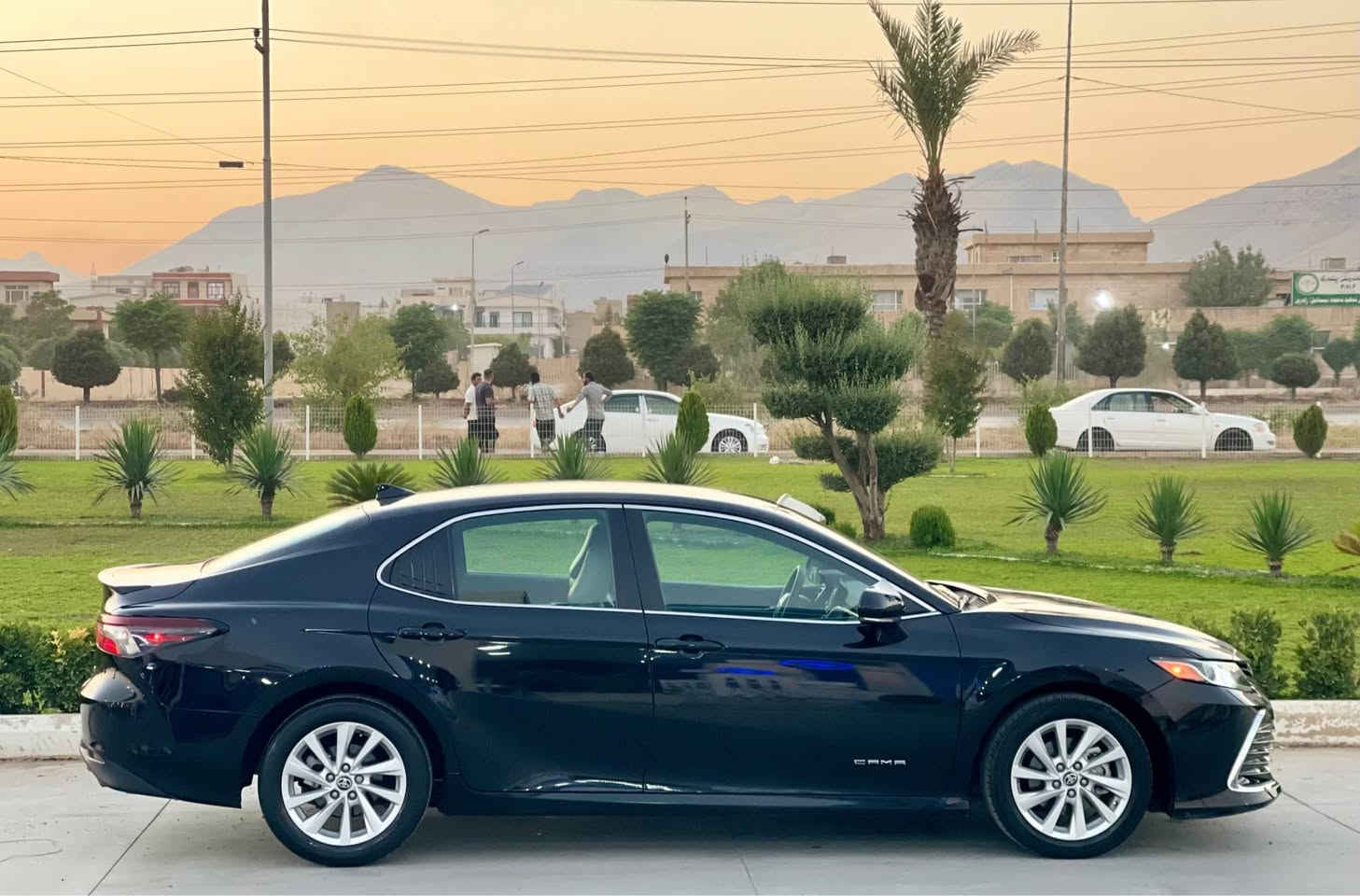 تۆیۆتا كامری ۲٠۲۳ LE
ناو جڵدو ناو كریمی
بەسمە
۳٥ میل رۆشتووە
ئیرباگ بەس سوكان 
بەس بۆنیت بۆیاغ (۲ پەڵە Pdr )
ڕەقەم و سەنەوی نوییە
شوێن ڕانیە
٠۷٥۱۲٠۸۹۸٥۹ رانية, السليمانية


**إذا كنت صاحب هذا الإعلان وتريد حذفه لأي سبب، رجاءا أرسل رسالة إلى الدعم الفني**