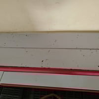 ارفوف • تركيا • ٥٥ قطعه