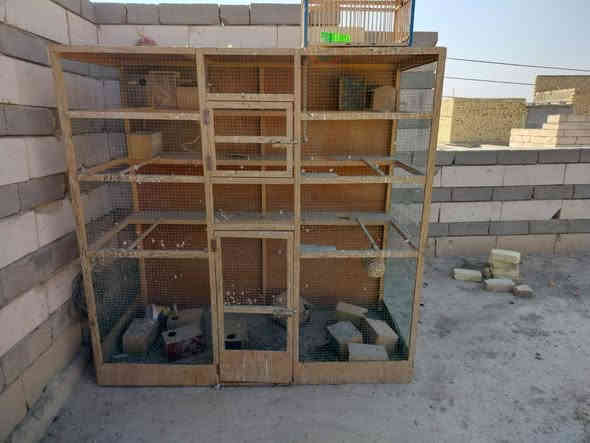 قفص للبيع الارتفاع 180الطول مترين العرض 90 بصره قضاء المدينه السعر 100 مكلف بنشر تصل بهذا الرقم ***********
