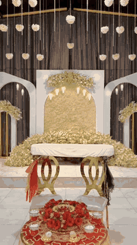 قاعة ٣٠٠ شخص • بكج هدية • عروض شهور ١١-١٢-١-٢