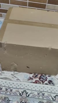 متوفر • ١٠إنش