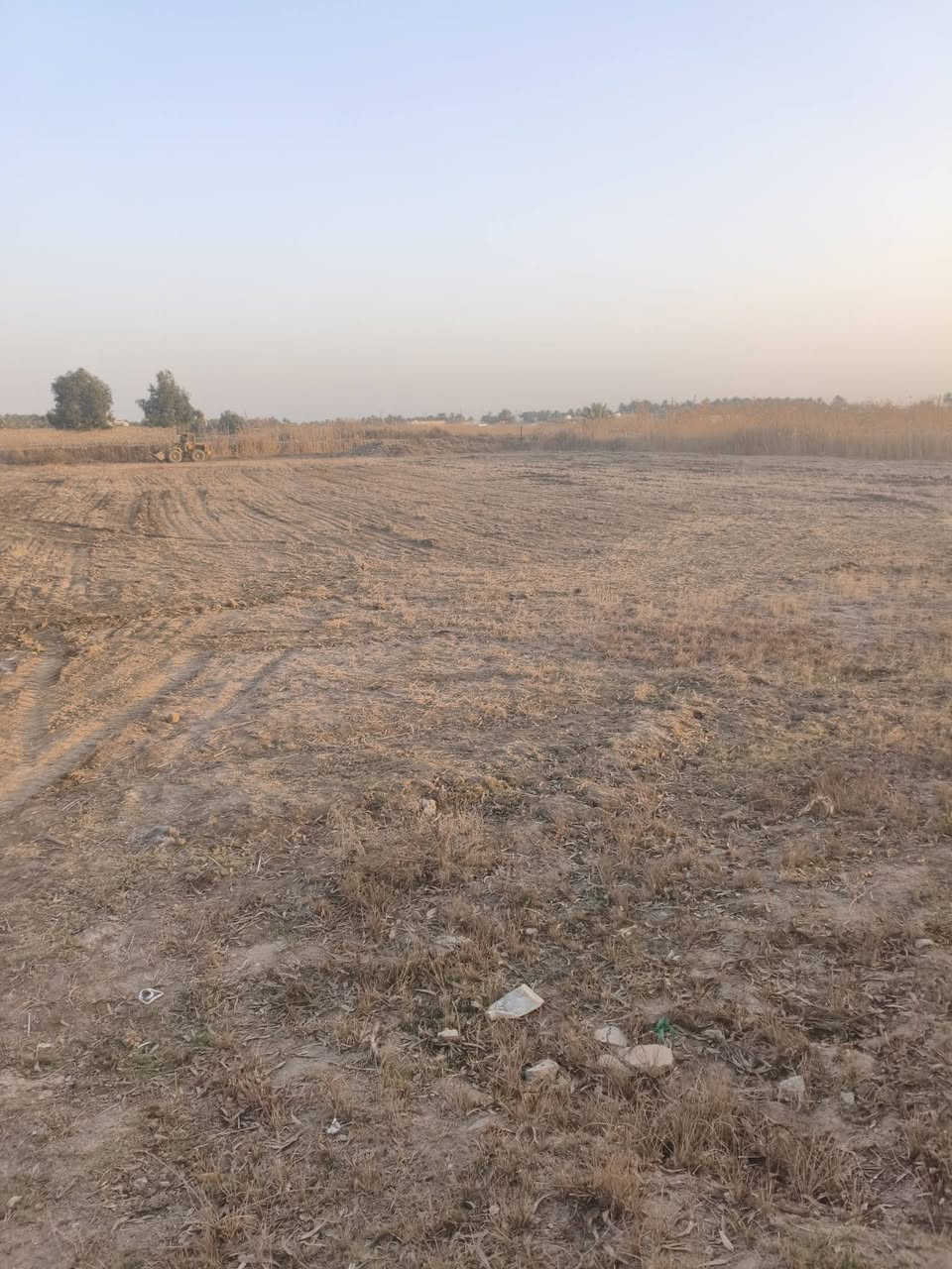 ١٠دونم مع دار تباع ٥ او كامله حسب الطلب طابو المحموديه سند مستقل تبليط كهرباء وماء كامله مع نخيل تقع في اليوسفيه القصر الاوسط ***********
