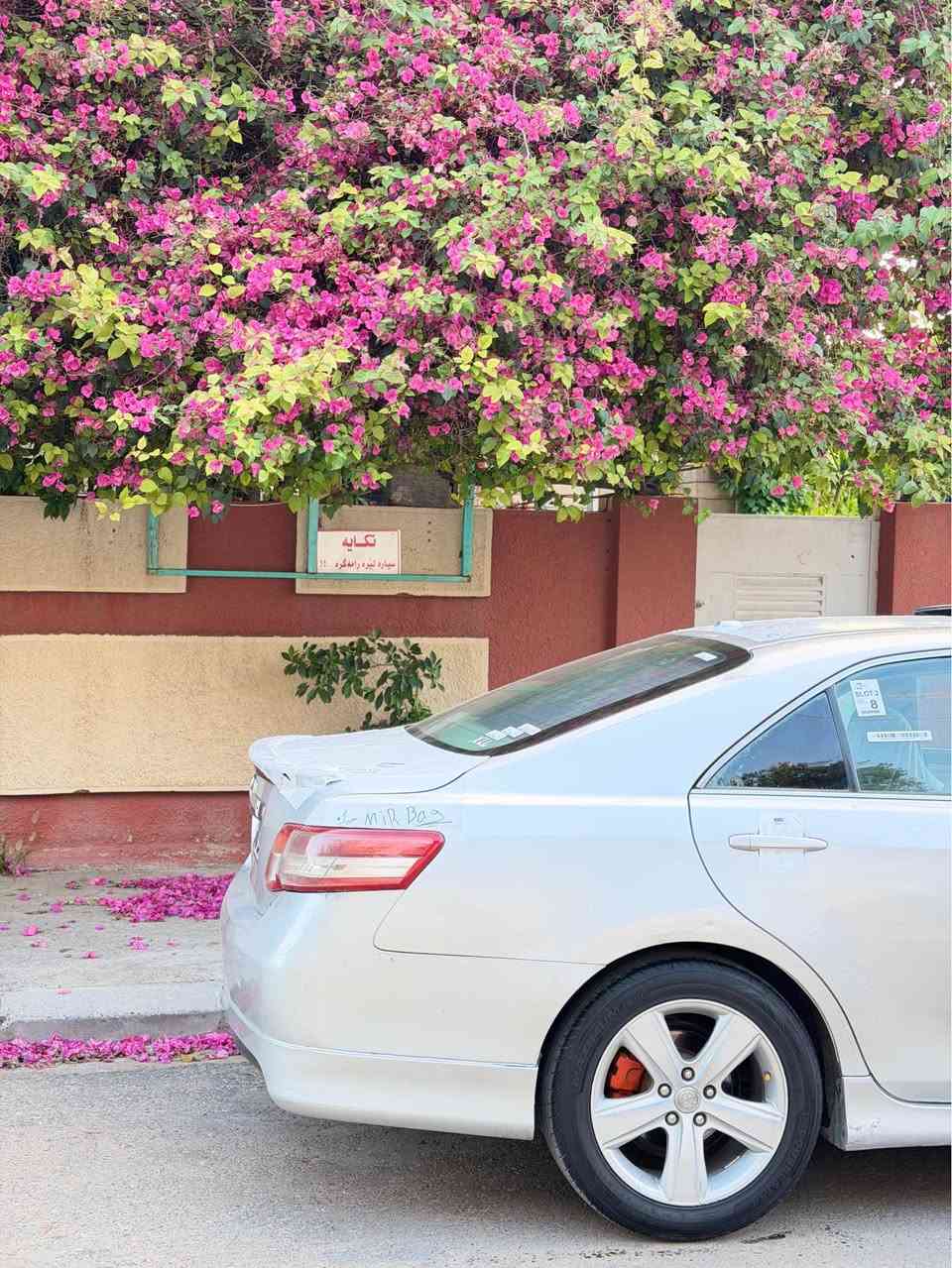 كوردي --عربي 
كامري V6ماسفات افلون سيارة VIPكلش  قليل نفس هاي مواصفات سيارة بل كارتون📦🩶 
جاهزة مابي نقس الف دينار  
بيها قطع و ربع بونيت و ربع جاملغ صبخ  معرك مامفتوع بشرت سيارة معرك كير افلون 
كشنات تدفي حار  سيارة بسمة فتعة پردة كاهرباي بلادي 
كشنات جلد كشنات سياعي كشنات كاهربائي فول فول فول مواسفات ماكو كامري نفس هاي مواسفات رقم سنوي  جديد نفس يوم تعويل مكان سيارة اربيل سعر (105$)   
رقم واتساب (***********)
                           كوردي 
كامري V6مواسةفات ئةڤةلون   VIP لةو مواسةفاتة زور كةمة كوشين جلد كوشين گةرم كوشين سياعي كوشين كارةبايي بةسمة سلايد پةردة بيلاد  سپورت بيلا دنيا مواسةفاتي تر مةكينةي نةكراوةتةوة هةمو شتيكي جاهيزة رقم سةنةوي نوية  سةيارةكة ناو كارتونة📦🩶 
هةمو شتيك بةشةرت كامري لةو مواسةفاتة زور كةمة 
سعر (105$) شويني سةيارة هةولير 
رقم واتساب(***********) أربيل, العراق
