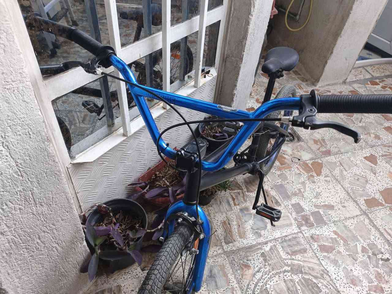 للبيع بايسكل BMX احترافي
النوع / BMX  تجميع الماني
Road Bike سريع وخفي 
✅ البايك نضيف جدًا واستعمال مرتب وبسيط بيه سوي طخات تمرين
✅ سحب سريع بالطريق
✅ مناسب والسرعة والتمارين 
📌 المواصفات:
▫️الفريم : ألمنيوم خفيف وقوي
▫️القياس : 20 انش
▫️حجم الفريم : M
▫️الارتفاع : 51 سم
⚙️ نظام السرعات: شفتر + بريك متصل
كيرات : 2×8
🔧 القطع: ▫️مكينة خلفي : Shimano Claris
▫️مكينة أمامي : Shimano Claris
▫️بريكات : Shimano Tiagra 🔥
▫️هيدست FSA بولبرنك ناعم جدًا 
🛞 الويليات : Mavic Pro Carbon
🖤 استيرن كاربون
🖤 بايدر قفل
🖤 تايرات 700×25 سريعة وثبات ممتاز
📍المكان : بغداد ام الكبر شارع مرطبات الباندا
💰السعر : 135 ألف وبيه مجال بسيط 👌🔥
البايك مرتب ونظيف جدًا وما يحتاج أي صرف ✨🚴‍♂️


**إذا كنت صاحب هذا الإعلان وتريد حذفه لأي سبب، رجاءا أرسل رسالة إلى الدعم الفني**