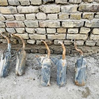 صالونات سيارة • مجموعة • سليم