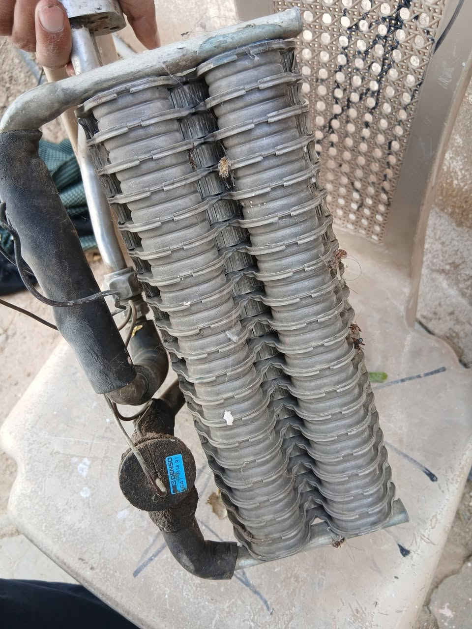 فريز يرهم ارنب بطه سيدان نظيف للبيع السعر٥٠ الف مكان نجف


**إذا كنت صاحب هذا الإعلان وتريد حذفه لأي سبب، رجاءا أرسل رسالة إلى الدعم الفني**