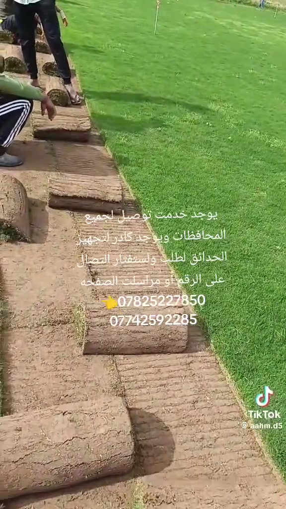🌿 المزارع الخضراء – الأول في الثيل الطبيعي

متخصصون بتوفير أجود أنواع الثيل الطبيعي:
✅ هندي – ✅ أمريكي – ✅ فرنسي
جودة مضمونة وتوصيل متوفر إلى جميع محافظات العراق 🇮🇶

📞 للاستفسار أو الطلب اتصل بنا الآن:
***********
***********
