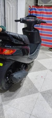 دراجة ١٤٠ • فراشة فحل • بابل مركز