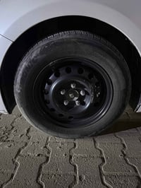 مراوس • بويل كب • سيراتو 18