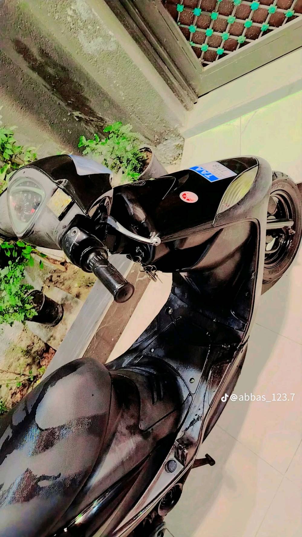 يدات رياضي سكليتر يدات ابريك قبق افلاوين اكلوب رياضي قبق امبار بوشه ٤٩ مامفتوحه الدراجه تخم تايرجلاتي الدراجه كلها ختم واحد