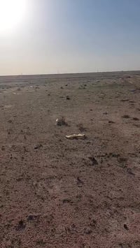 قطع اراضي • طابو صرف • حي المعلمين النجف الاشرف