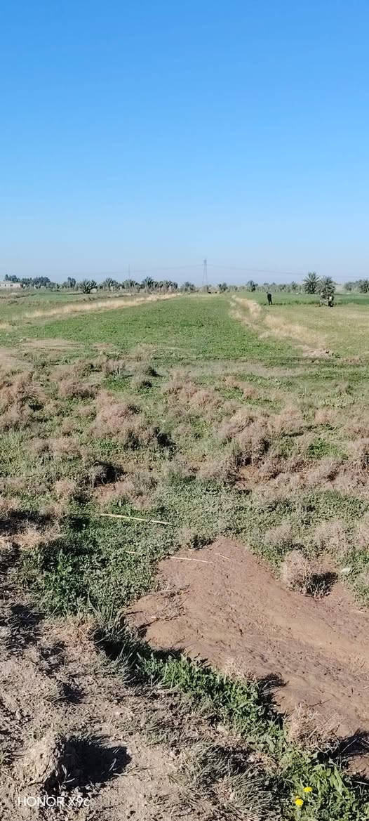 للبيع 
ارض زراعيه
مساحه 4  دونم
كهرباء
ماء  
ماطور ماء سقي 
كافه الخدمات 
تبعد عن الشارع العام 
500 متر 
نزله البو ناهض
للاستفسار 
مراجعه مكتب السنيه للعقار 
قرب جامع السنيه الكبير 
***********
